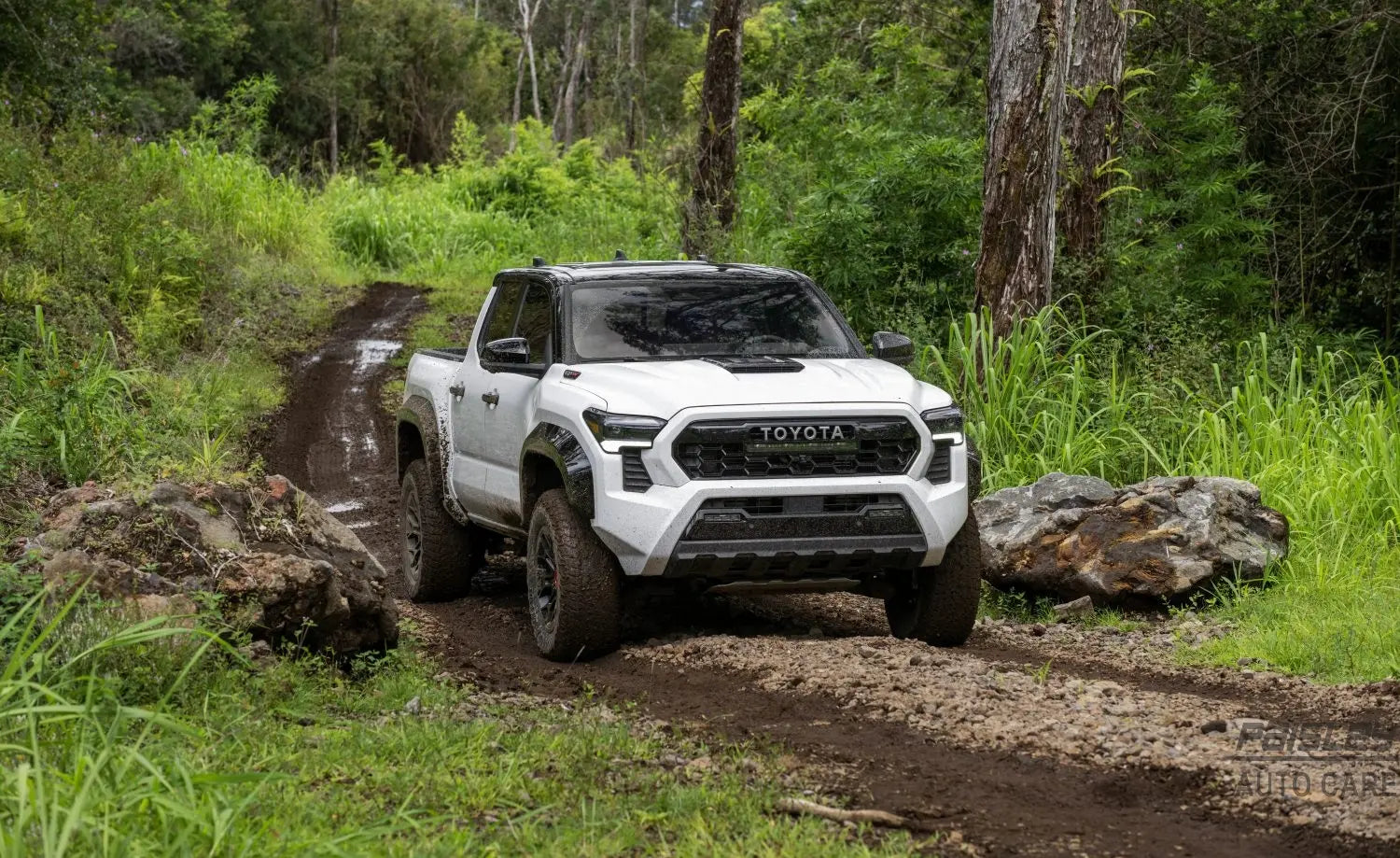 The Definitive Guide to the 2024 Toyota Tacoma - Paisley Autocare