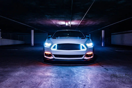 white car on gray road